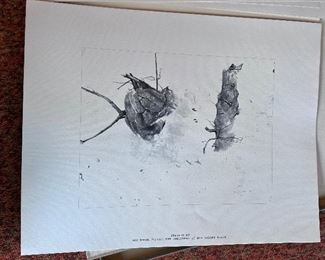 Four Seasons by Andrew Wyeth - 12 prints