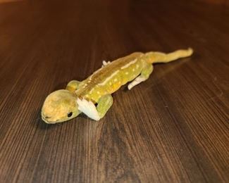 Steiff Lizard