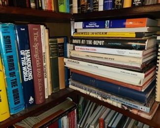 Assorted Books (Hundreds Available. Antique & Contemporary. MANY Topics And Themes.)