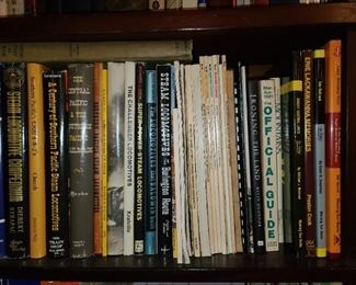 Assorted Books (Hundreds Available. Antique & Contemporary. MANY Topics And Themes.)