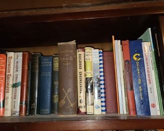 Assorted Books (Hundreds Available. Antique & Contemporary. MANY Topics And Themes.)