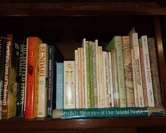Assorted Books (Hundreds Available. Antique & Contemporary. MANY Topics And Themes.)