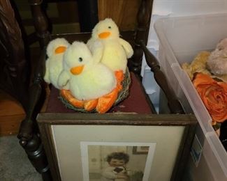 Duck Plushies