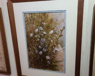 Framed Photograph