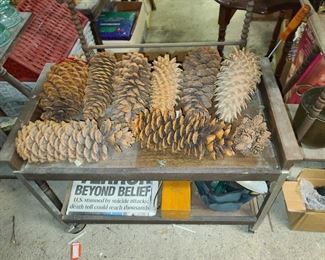 Large Pinecones