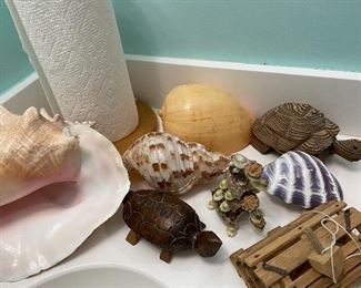 Variety of Shells and Décor
