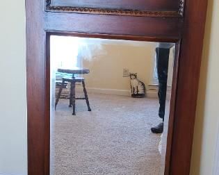 Newer Trumeau Mirror