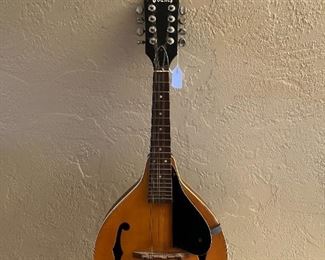 Vintage mandolin