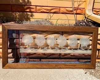 Seashell etched glass