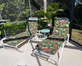 2 chaise lounge chairs w/cushions