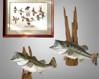 Two Taxidermy Largemouth Bass on Driftwood w ith Bass Print Featuring the Mounted Fish