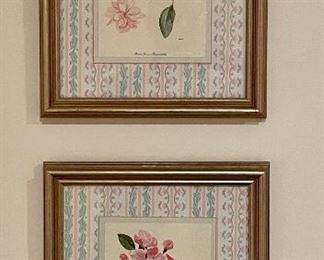 Item 36:  (2) Framed Botanical Prints - 10.5" x 12.5": $45 for pair