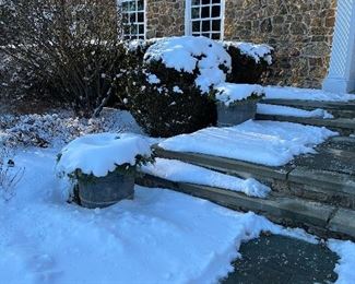 Cement large planters
