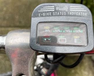 Miami Sun E350 Electric Bike