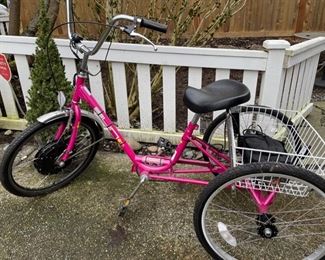 Miami Sun E350 Electric Bike