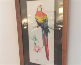 Original framed watercolor Painting of Macaw by artist June Jackson