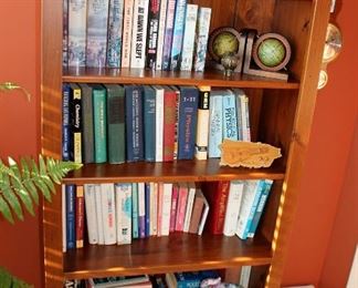 Lots of books! (Bookcases are in our online auction)