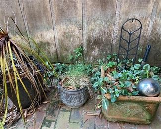 Assorted Plants/Yard Art