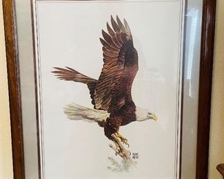 $40    Hugh Hirtle  Bald Eagle framed print