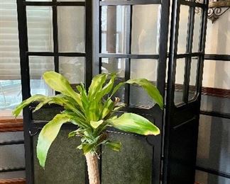 Large black room divider.