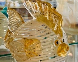Glass fish