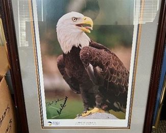 Framed Georgia Southern Eagles Picture autographed by Coach Johnson and Erk Russell.  Coach Russell  for 17 years was the defensive coordinator for the Georgia Bulldogs and later head football coach of the Georgia Southern Eagles