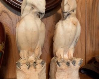 Marble Cockatoos
