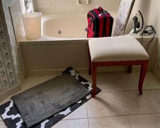 make-up Vanity Stool, Suit Case, Iron