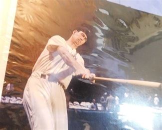 Ted Williams Color Photo