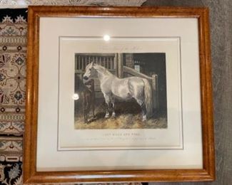 Antique horse etchings. Photo 1 of 4.