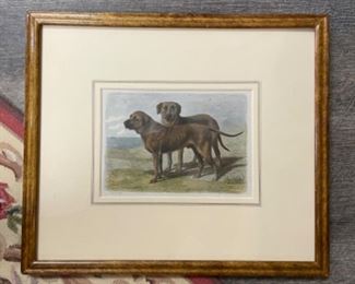 Antique horse etchings. Photo 2 of 4.