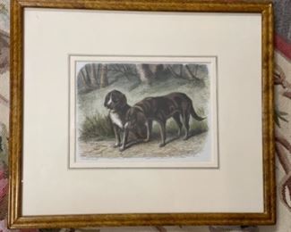 Antique horse etchings. Photo 3 of 4.
