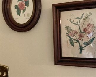 More pictures. All frames are antique and in good condition.