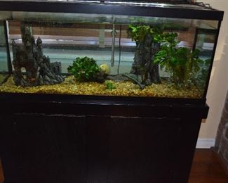 Fish tank with stand