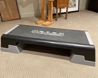 Step exercise bench.