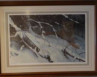 Robert Bateman "Cougar in the Snow"  Signed and Numbered