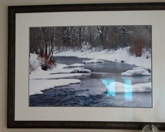 Tom Mangelsen Limited Edition  "Song of the River"