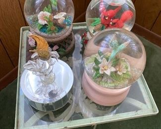 Bird snow globes.