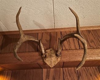 Deer shed