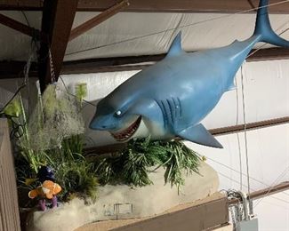 BRUCE FOUND NEMO & DORY. FROM THE MOVIE FINDING NEMO