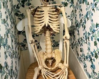 “I dropped in to say hi”!  Fun Seasonal decorations!