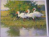 John Felsing. Oil.