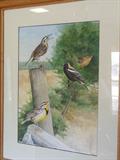 John Felsing. Watercolor.