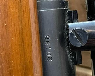 REMINGTON Model 700 Caliber .243