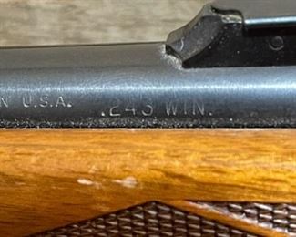 REMINGTON Model 700 Caliber .243REMINGTON Model 700 Caliber .243