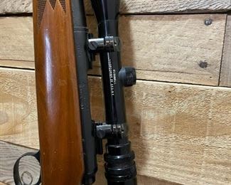 REMINGTON Model 700 Caliber .243