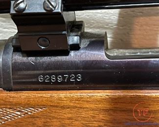 REMINGTON Model 700 Caliber .30-06 with Bushnell Scope