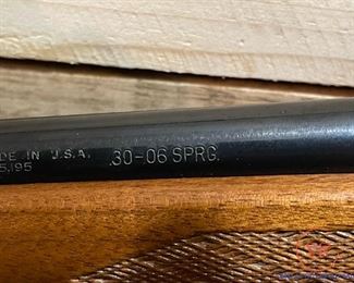 REMINGTON Model 700 Caliber .30-06 with Bushnell Scope