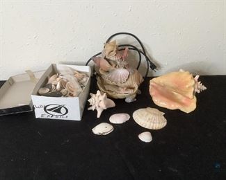 Seashells
Seashell water fountain (unknown if operational), Two (2) conch shells, and box full of various shells.