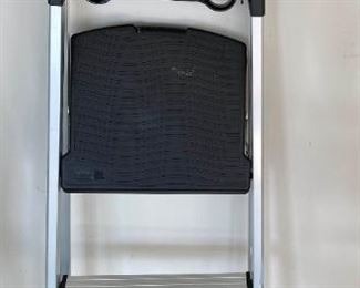 Cisco and Rubbermaid Stepladders